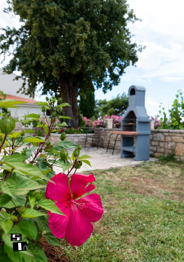 Charming Stone Cottage By The Sea Umag Luaran gambar